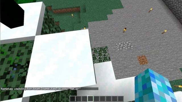 How to Hide Name Tags in Minecraft Java Edition 1.16 смотреть онлайн