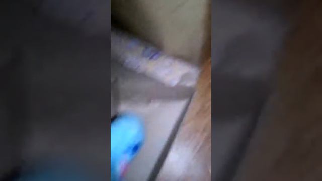 Конюшня смотреть онлайн