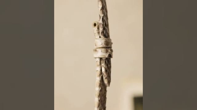 Ремешок из кожи змеи с загнутым краем. смотреть онлайн