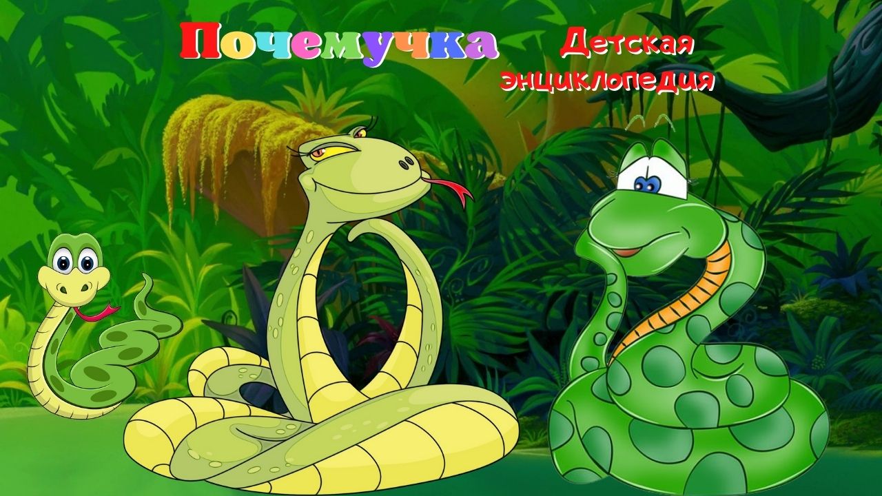 0+Анаконда. Интересные факты. Почемучка. Детская энциклопедия. смотреть онлайн