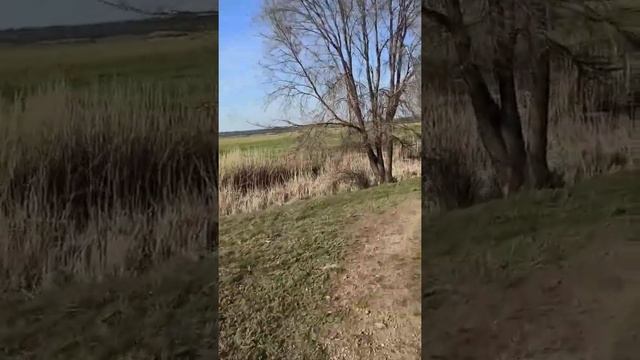 Мото сезон 2020 14 04 часть 4 последний смотреть онлайн