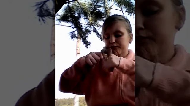 Причёски на день в деревне смотреть онлайн