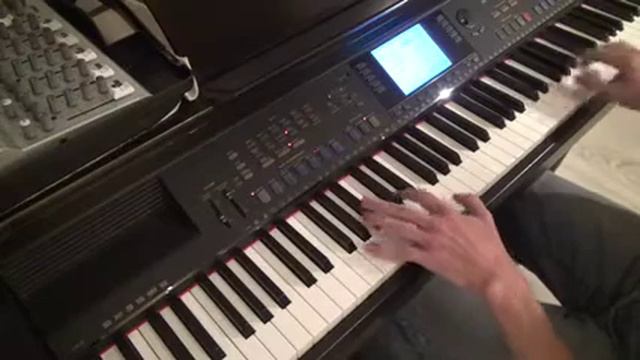 Walking donkey played on Yamaha Clavinova CVP-107 смотреть онлайн