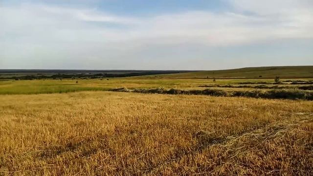 МОТОБЛОК АВАНГАРД. СОБРАЛ СЕНО С 1 ГЕКТАРА. смотреть онлайн