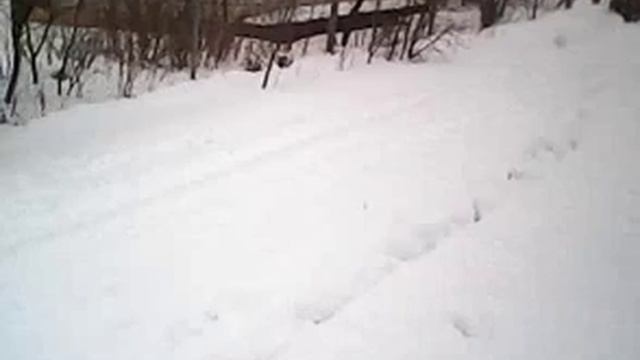 НИВА 31 с отвалом смотреть онлайн