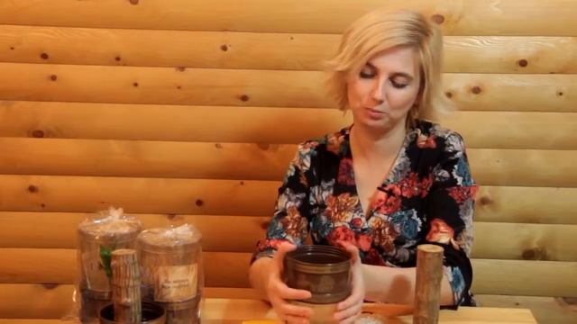 Дерево счастья. Как правильно вырастить смотреть онлайн