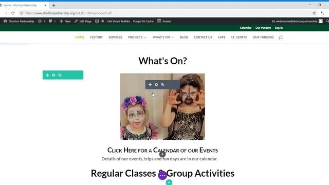 Editing Wordpress Using Divi Frontend Builder смотреть онлайн