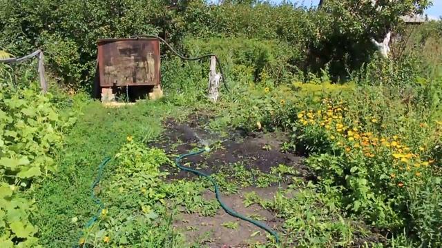 Дачная поливалка УЛИТКА смотреть онлайн