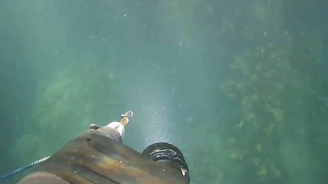 Подводная охота Черное море 2016. смотреть онлайн