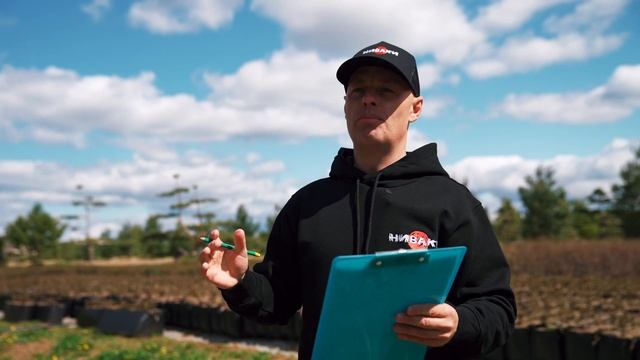 Формирование ниваки из яблони сибирской смотреть онлайн