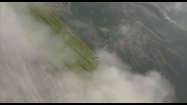 Судьба орла: Трогательное видео о величественной птице