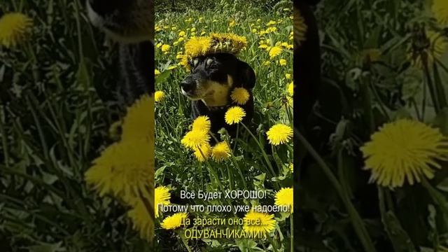 #пожелания #всёбудетхорошо