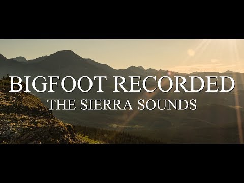 BIGFOOT RECORDED!