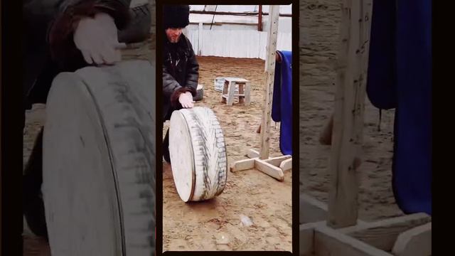 Как приучить лошадь не бояться зайти в коневоз: делаем имитацию. Лайфхак! смотреть онлайн