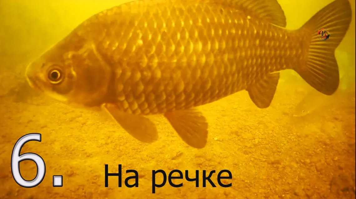 6. Рыбалка на речке на Поплавок, насадка опарыш, хлеб, Ловля плотвы, карася, подводная съёмка. смотреть онлайн
