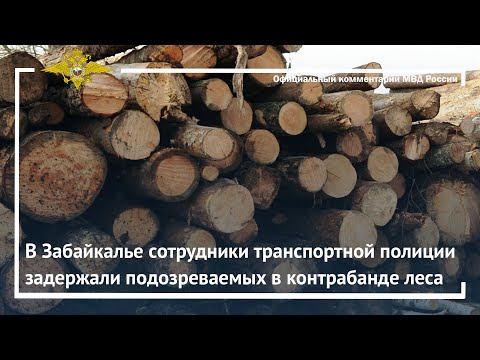 Ирина Волк: В Забайкалье сотрудники транспортной полиции задержали подозреваемых в контрабанде леса смотреть онлайн