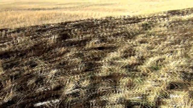 Глубокорыхлитель. Добрыня 7100. смотреть онлайн