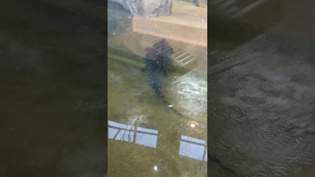 Казань- экскурсия смотреть онлайн