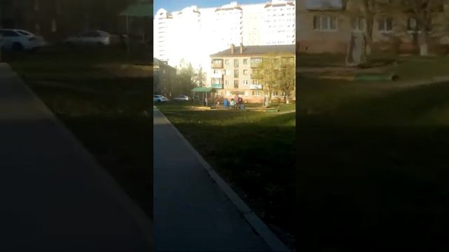 Мой новый трюковой самокат смотреть онлайн