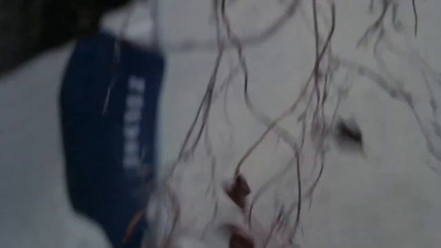 HISTORIAS QUE ATESTIGUAN LA DEMENCIA [Tales That Witness Madness 1973] •LATINO•