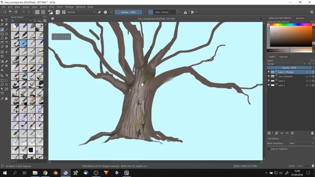 Tree sketching in Krita [timelapse] смотреть онлайн