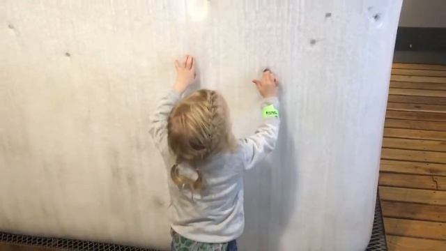 Живые системы , эксперементариум ,поход в музей смотреть онлайн