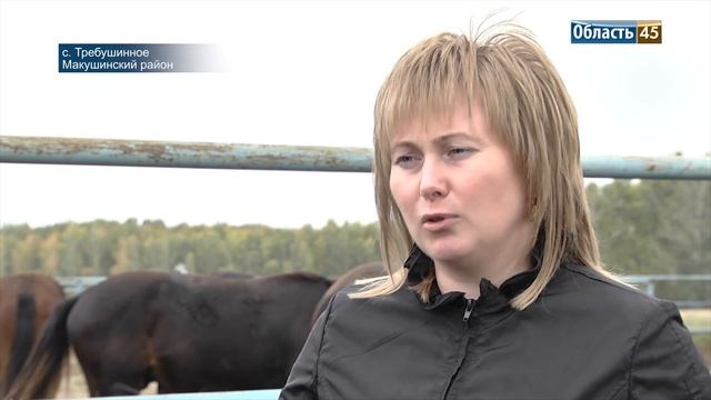 Зауральский фермер развивает село и строит дома для своих работников смотреть онлайн