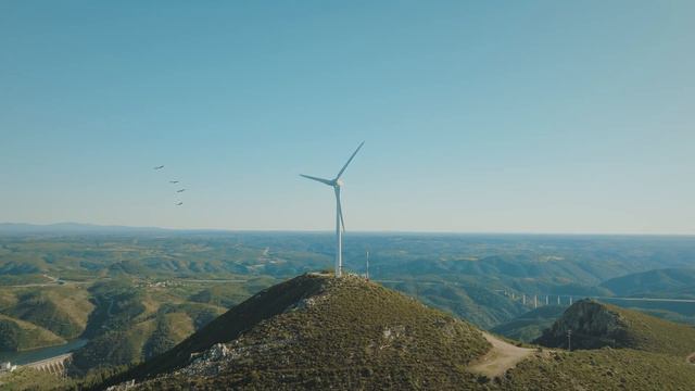 КОГДА МЫ УСПОКАИВАЕМ СВОЙ УМ ИСТИНА ПРИХОДИТ САМА СОБОЙ смотреть онлайн