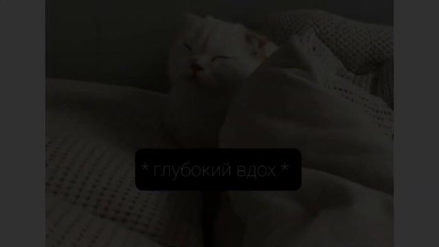 Евгенбро кричит : Ма! смотреть онлайн