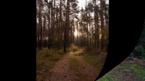 Паустовский Мещерская сторона