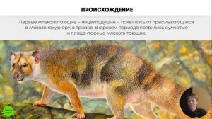 БИОЛОГИЯ ОГЭ - Покровы млекопитающих