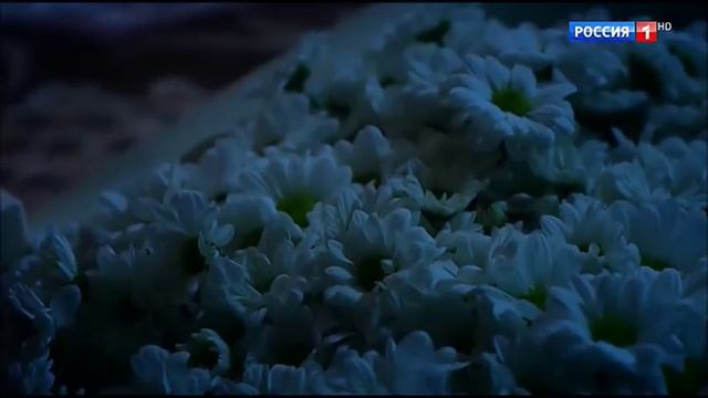 Александр Ратников и Анна Михайловская #КАПИТАНША Монтаж М.Царева смотреть онлайн