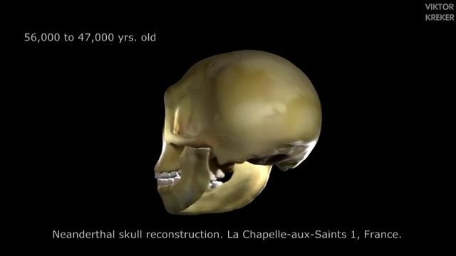 Reconstruction of the Neanderthal skull La Chapelle-aux-Saints 1 Реконструкция череп неандертальца смотреть онлайн