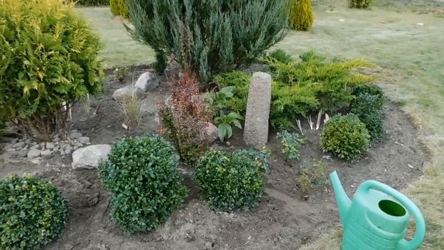 Реконструкция сада.Часть вторая.Учимся на чужих ошибках а делаем свои. смотреть онлайн