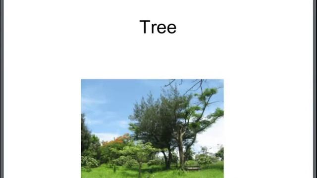 Quickoffice обзор от fanipad.ru смотреть онлайн