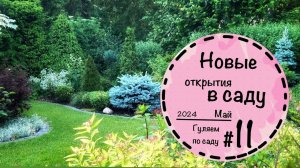 Конец мая просто невероятно красивый☘️ Приглашаю на прогулку по саду #11☘️