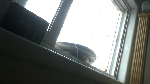 Атмосферное электричество черпать ток с атмосферы можно смотреть онлайн