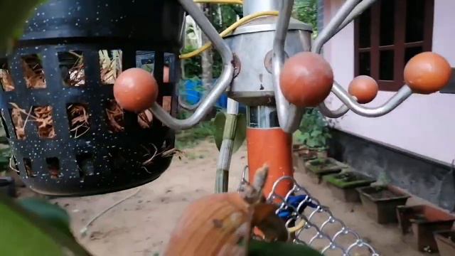 Orchid | Hanging Ideas| Malayalam| Afisnotebook |Reuse Old Dress Stand|Lowcost Garden Ideas 2020|