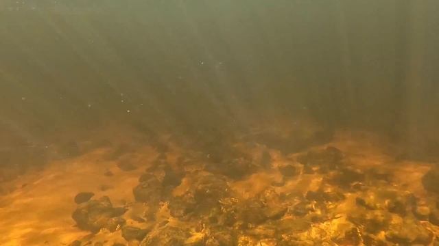 Река Канда Кандалакшский район Мурманской области Горбуши нет, 09.07.2023 смотреть онлайн