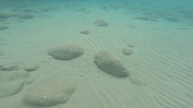 Дайвинг в средиземном море (Go Pro) смотреть онлайн