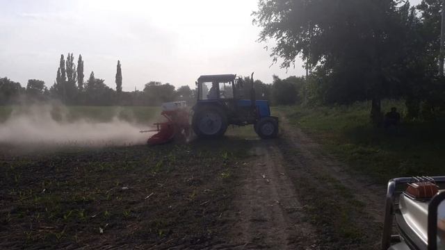 Культивация кукурузы.Трактор МТЗ. смотреть онлайн