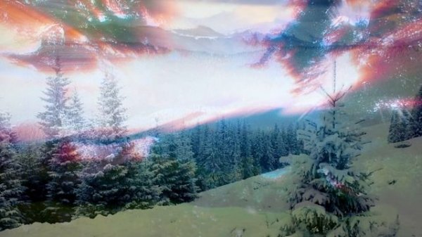 Red Any - Experience on the other side