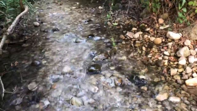 Прогулка с Марком. Влог. Реку в брод. смотреть онлайн