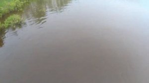 РЫБАЛКА НА СЕТИ!!! Поймал судака!