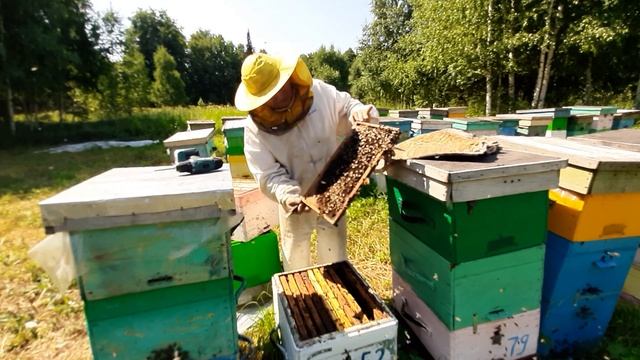 Установка вощины и лето 2020. смотреть онлайн