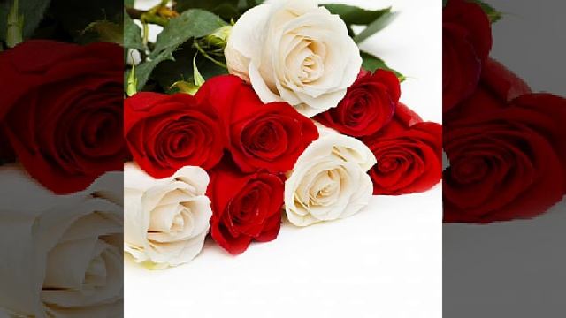 Бархат алых роз (Евгений Путилов) смотреть онлайн