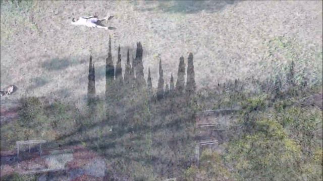 SJRC F22S 4K Pro Part 3 | Drone Cinematic Flight | Exploring Tipis-Tipis - #328 смотреть онлайн
