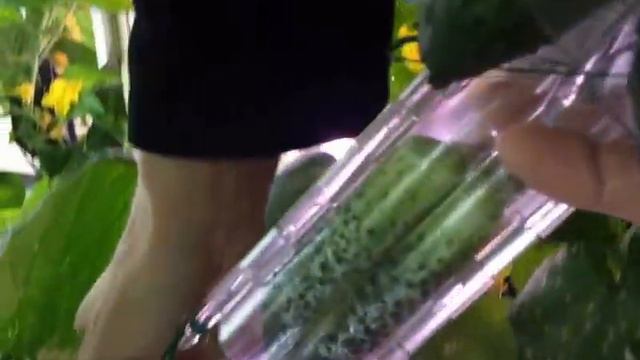 Формочка-трансформер смотреть онлайн