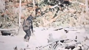 СНЕЖНЫЙ ЧЕЛОВЕК РОДЖЕРА ПАТТЕРСОНА