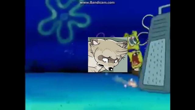 The Raccoon And The Cheese Grater